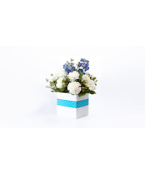 Blue Polka Dot and Posies