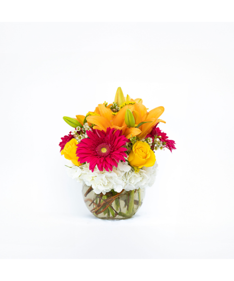 This bubble vase filled with orange lilies, hot pink gerbera daisies and yellow roses is bursting with warm wishes.