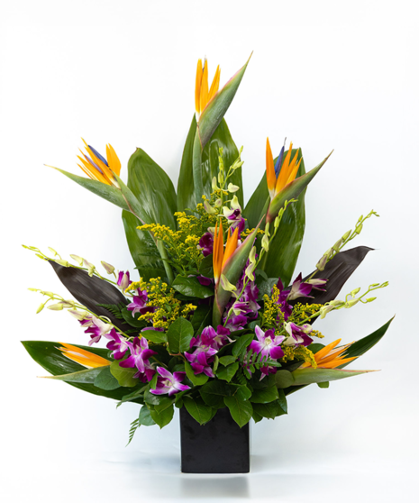 Birds of paradise, dendrobium orchids and tropical greenery in a modern container arrangement