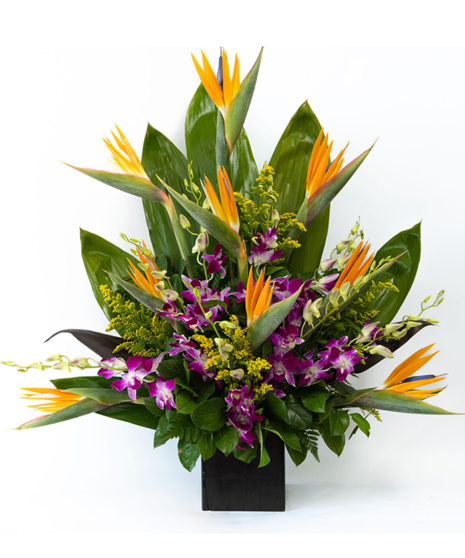 Birds of paradise, dendrobium orchids and tropical greenery in a modern container arrangement