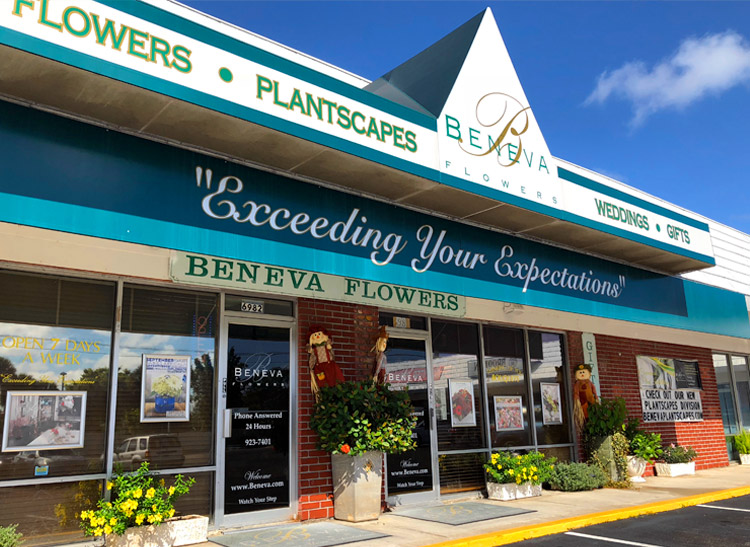 Our custom awning and showroom window really stand out against a handsome blue sky